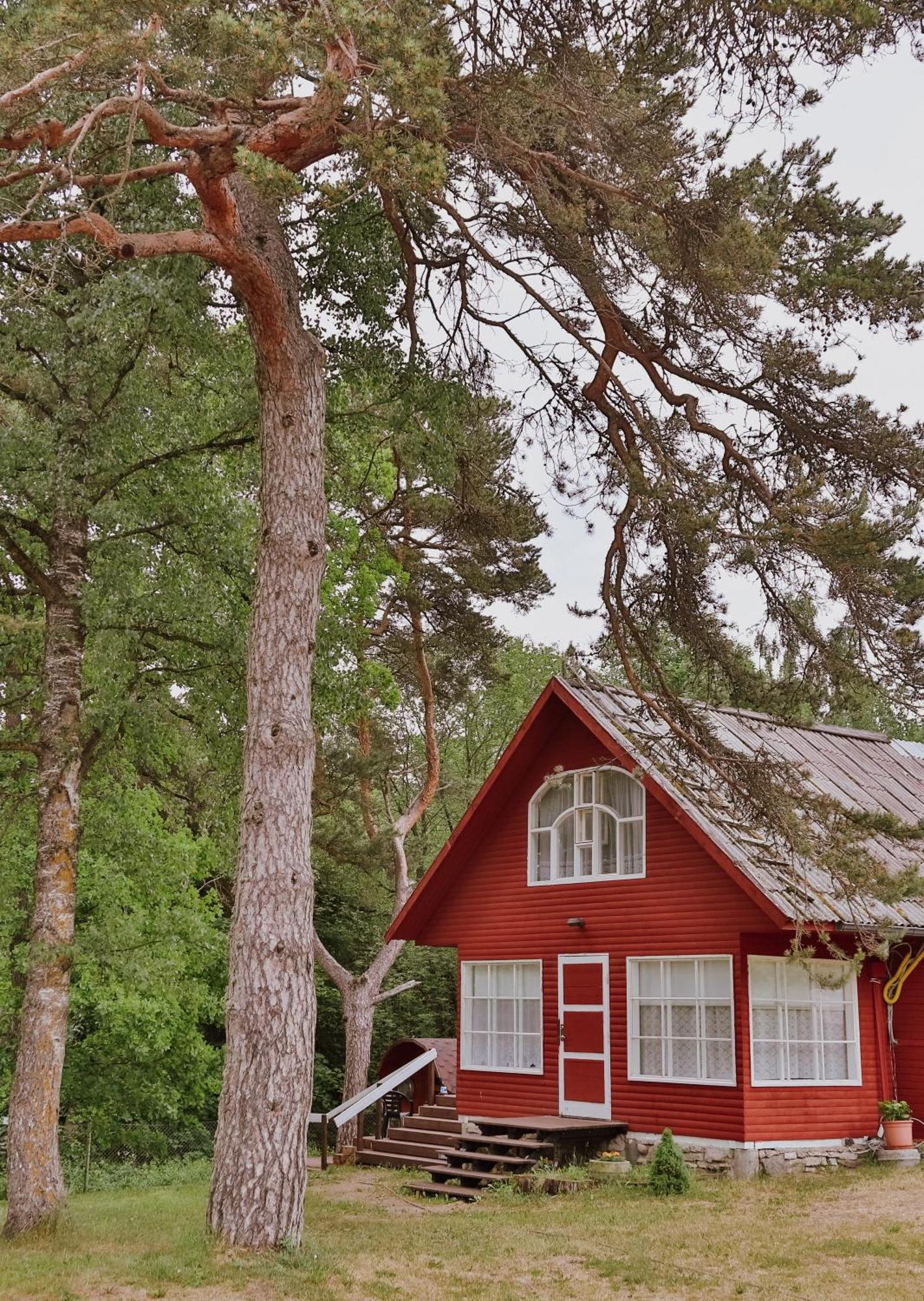 Toolse Puhkekuela Hotel Buitenkant foto